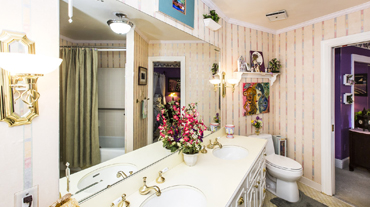 Jack and Jill Bathroom - Charlotte Bed & Breakfast