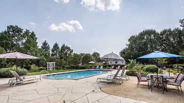 Billiards - Charlotte Bed & Breakfast